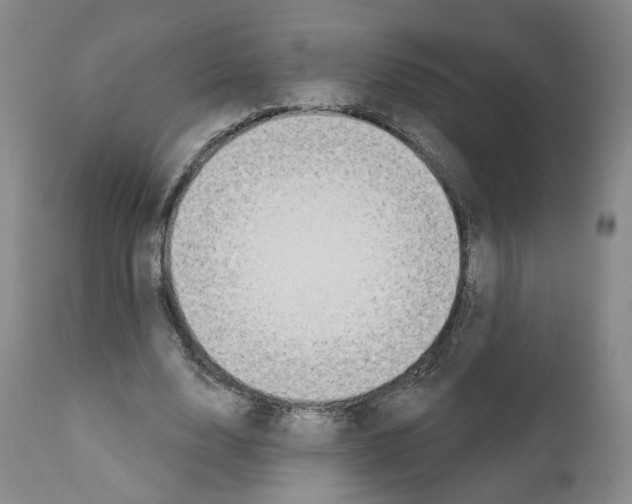 X0000110900632200907301607