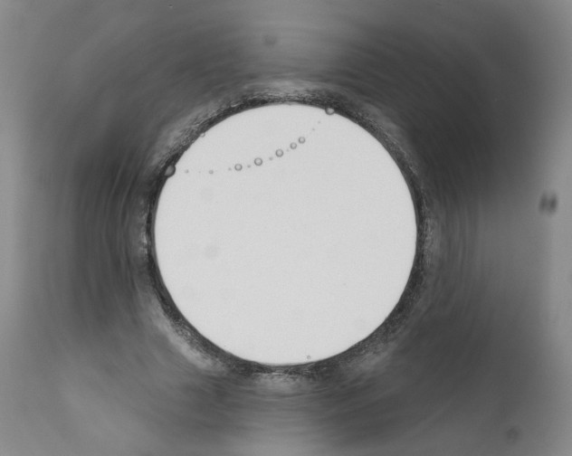 X0000110900633200907301607