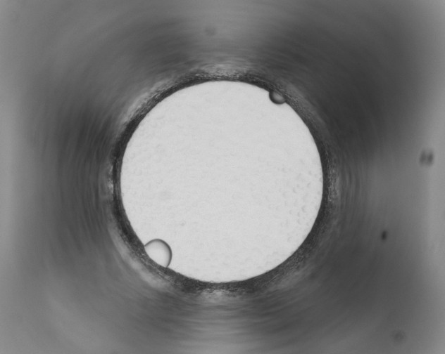 X0000110900634200907301607