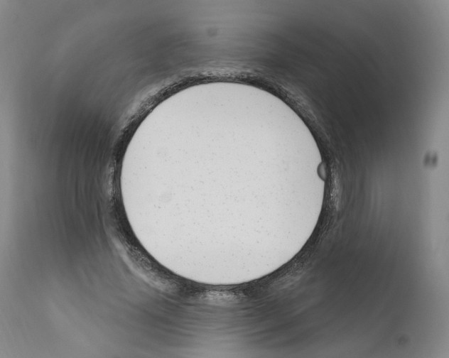 X0000110900636200907301607