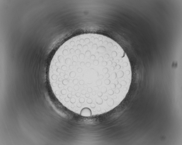 X0000110900638200907301607