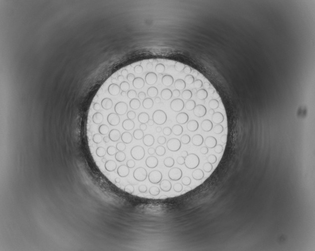 X0000110900639200907301607