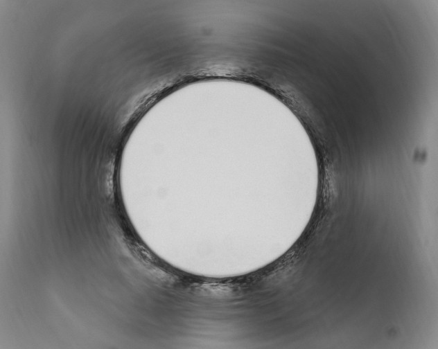 X0000110900640200907301607