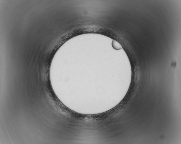 X0000110900641200907301607