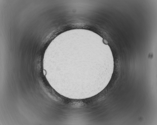 X0000110900642200907301607