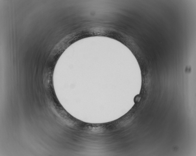 X0000110900645200907301607