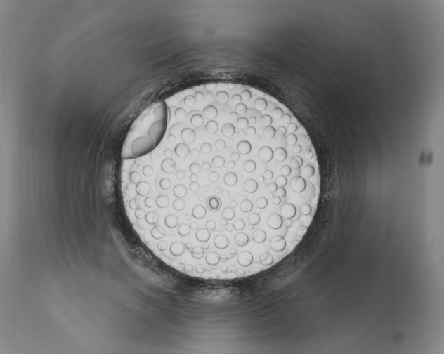 X0000110900646200907301607