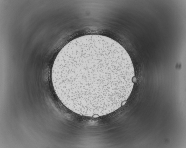 X0000110900647200907301607