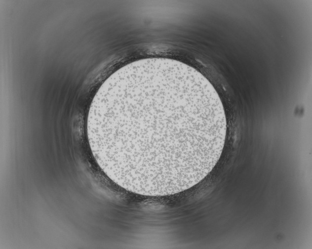 X0000110900648200907301607