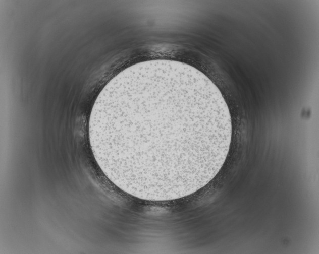 X0000110900649200907301607