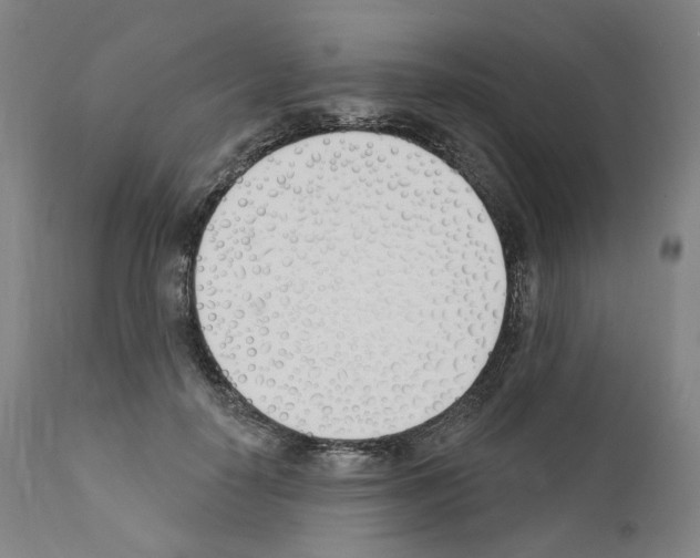 X0000110900650200907301607