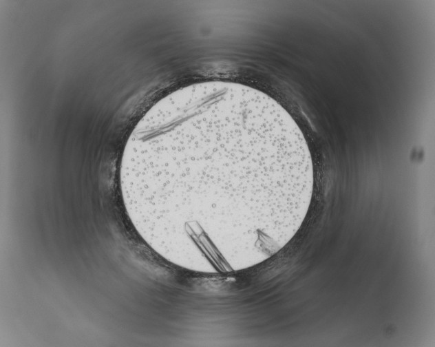 X0000110900652200907301607