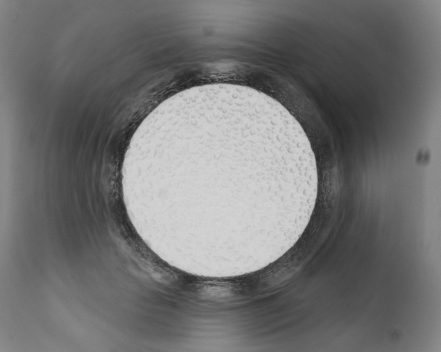 X0000110900653200907301607