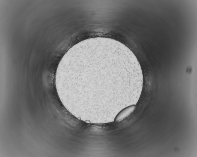 X0000110900657200907301608