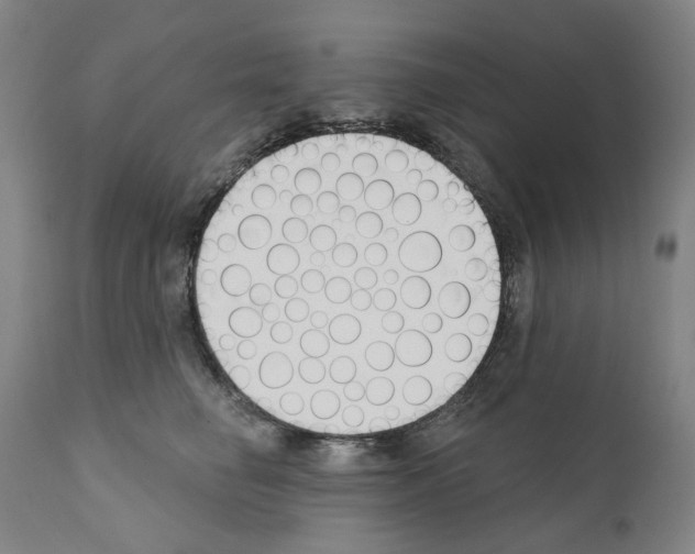 X0000110900662200907301608