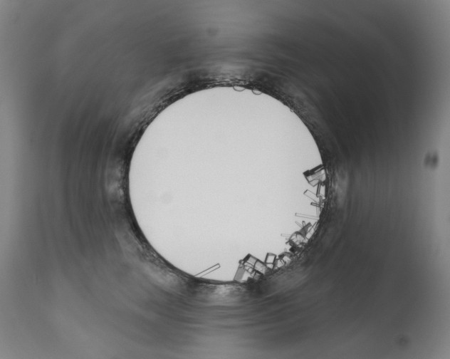 X0000110900663200907301608