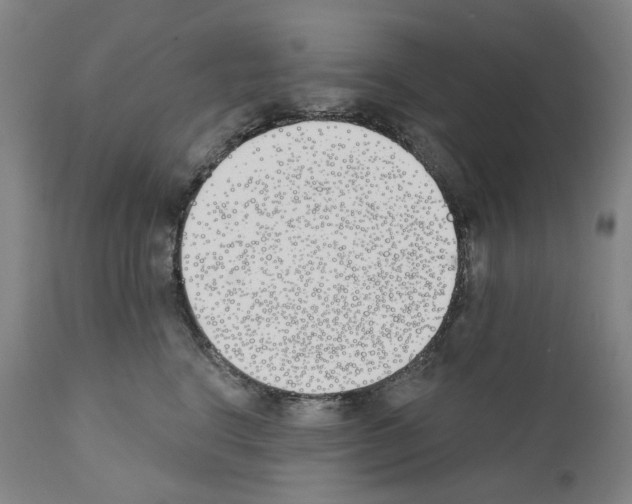 X0000110900664200907301608