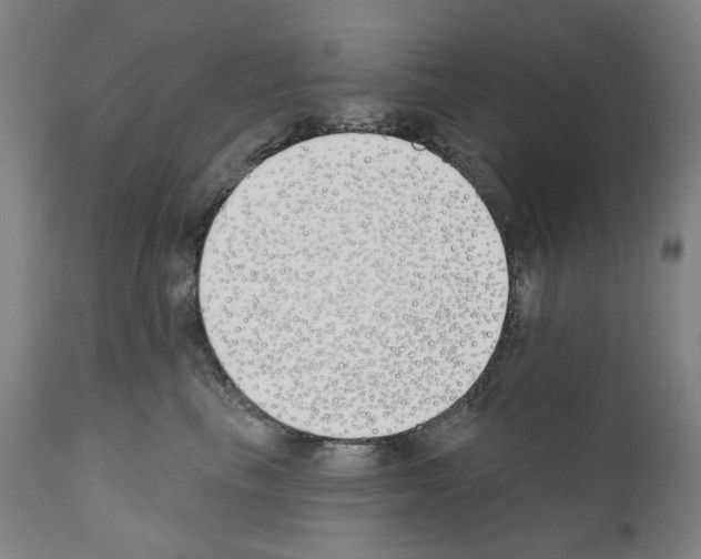 X0000110900665200907301608