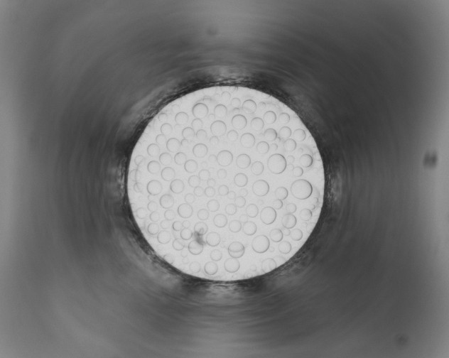 X0000110900666200907301608