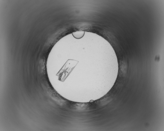 X0000110900667200907301608