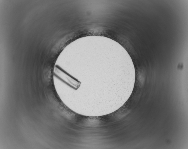 X0000110900668200907301608