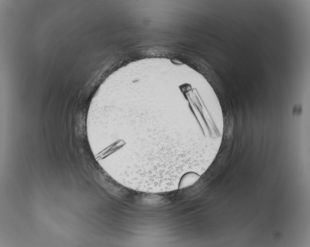 X0000110900669200907301608