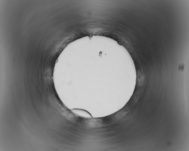 X0000110900670200907301608