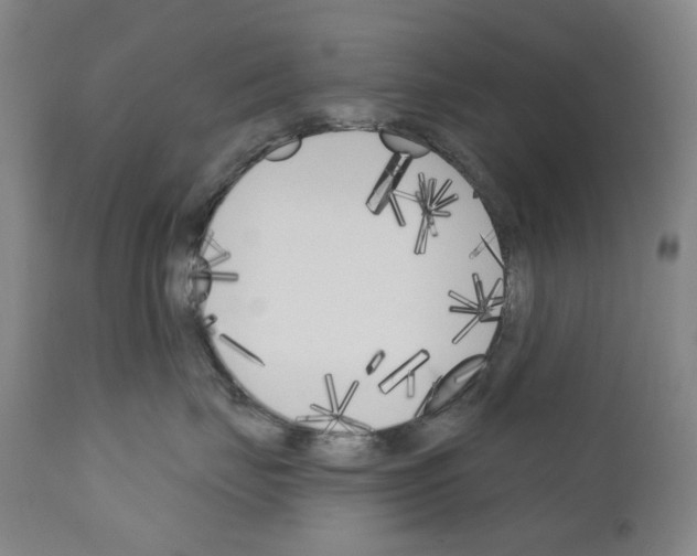 X0000110900671200907301608