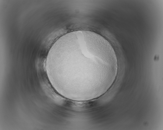 X0000110900672200907301608