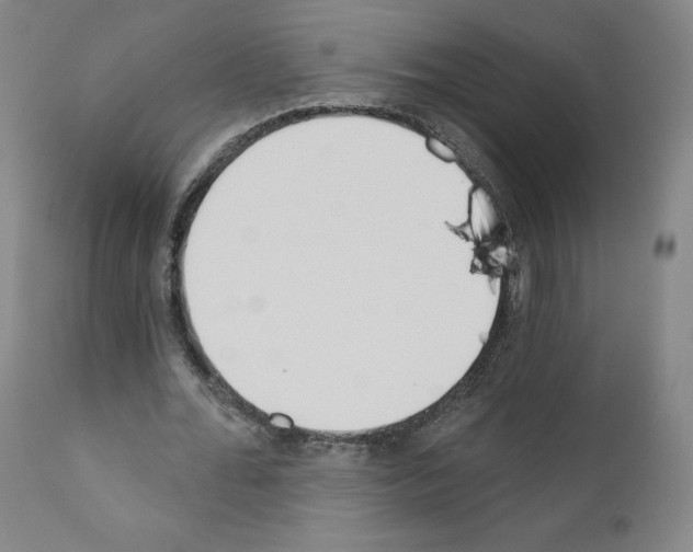 X0000110900676200907301607