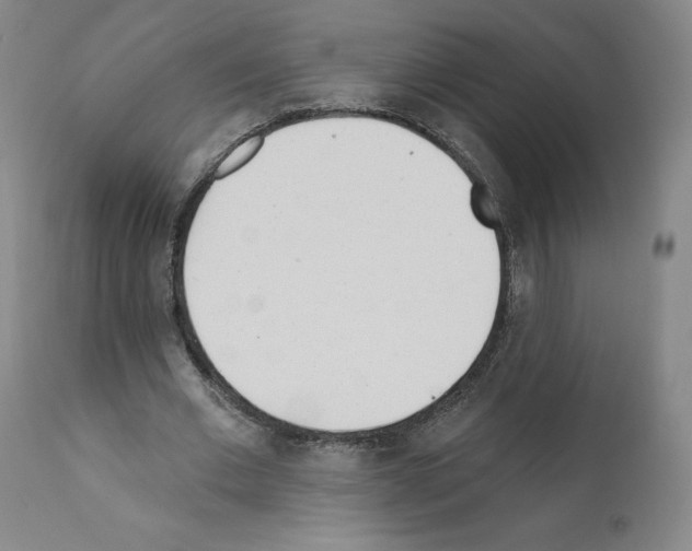 X0000110900677200907301607