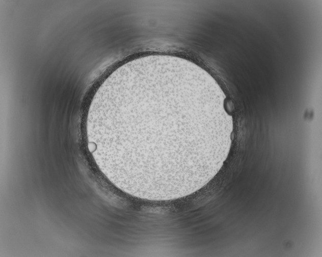 X0000110900679200907301607