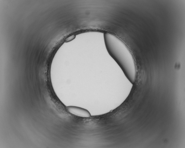 X0000110900680200907301607