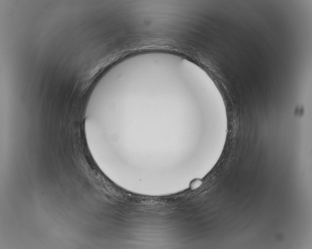 X0000110900681200907301607