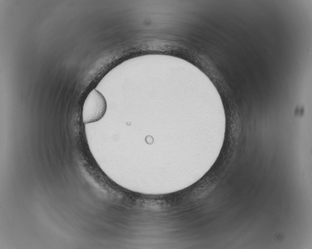 X0000110900683200907301607