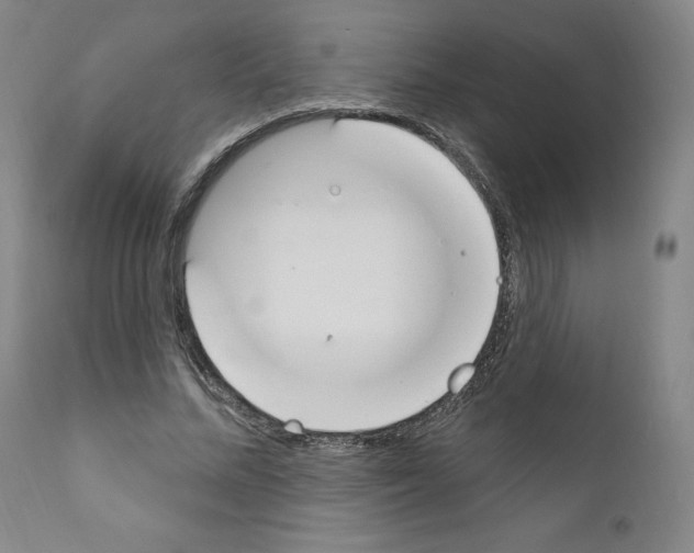 X0000110900684200907301607