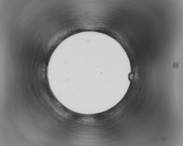 X0000110900685200907301607