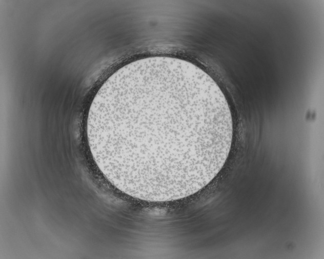 X0000110900687200907301607