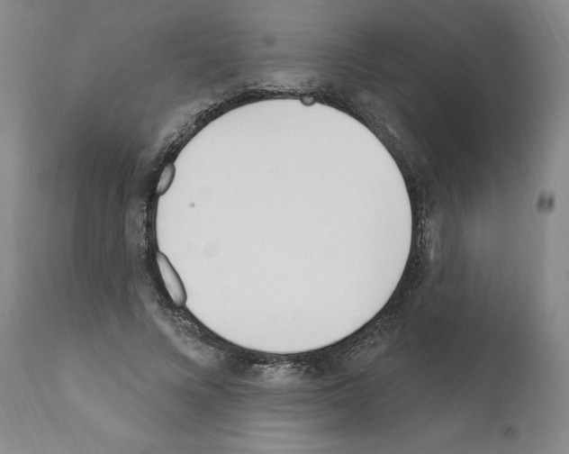 X0000110900688200907301607