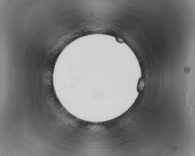 X0000110900689200907301607