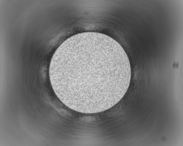 X0000110900691200907301607