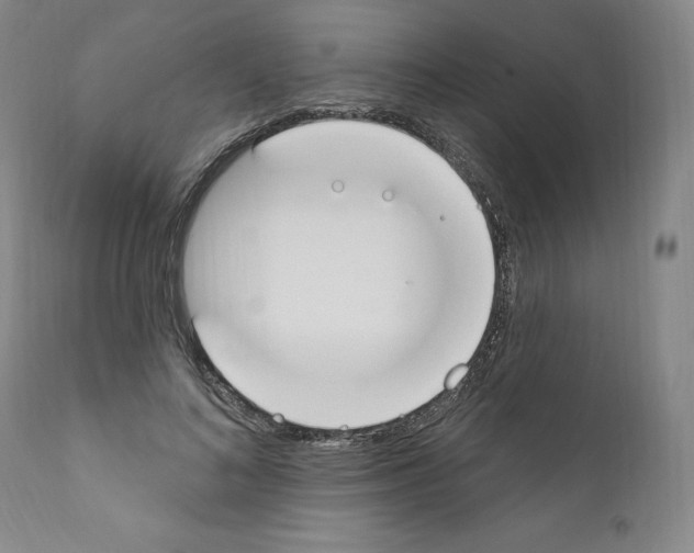 X0000110900692200907301607