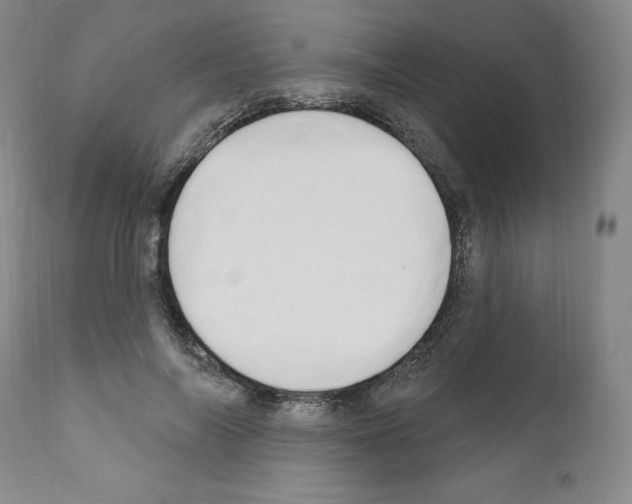 X0000110900694200907301607