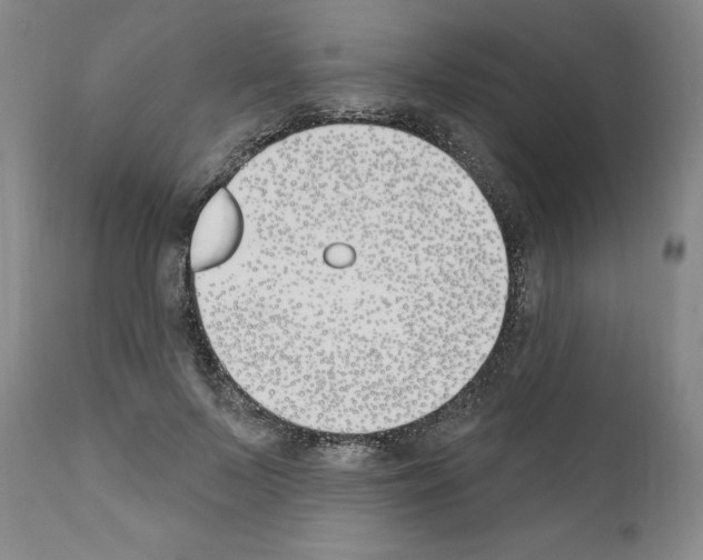 X0000110900695200907301607