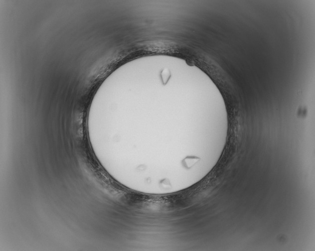 X0000110900696200907301607