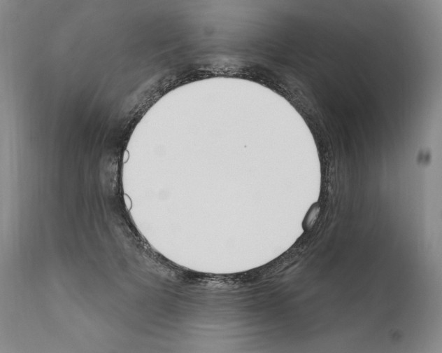 X0000110900697200907301607