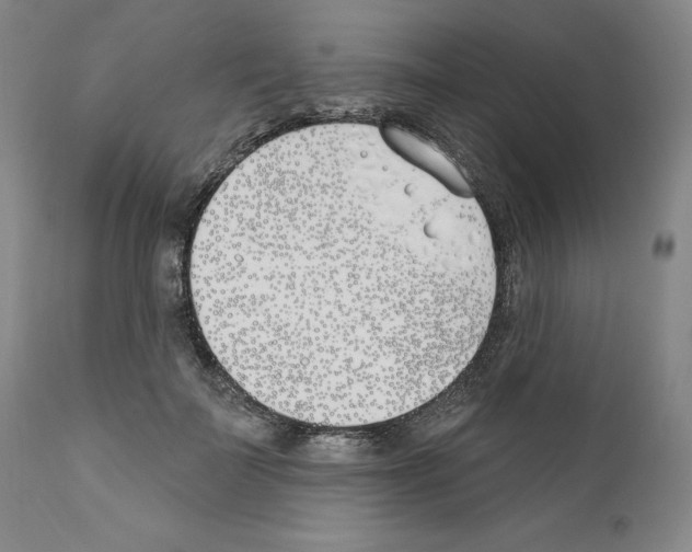 X0000110900699200907301607