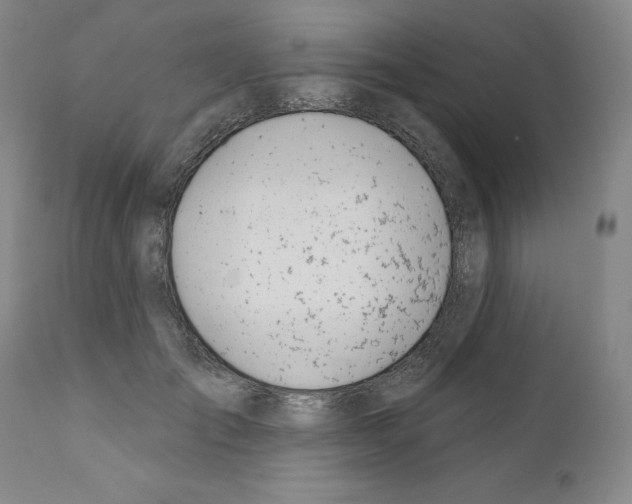 X0000110900701200907301607