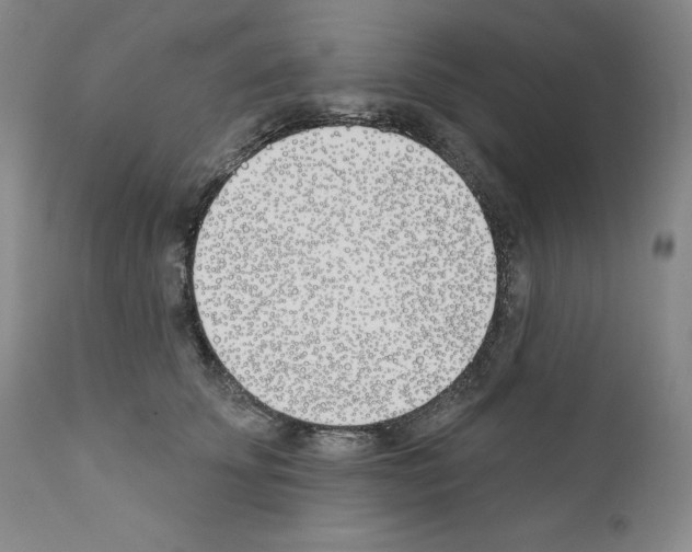 X0000110900707200907301607