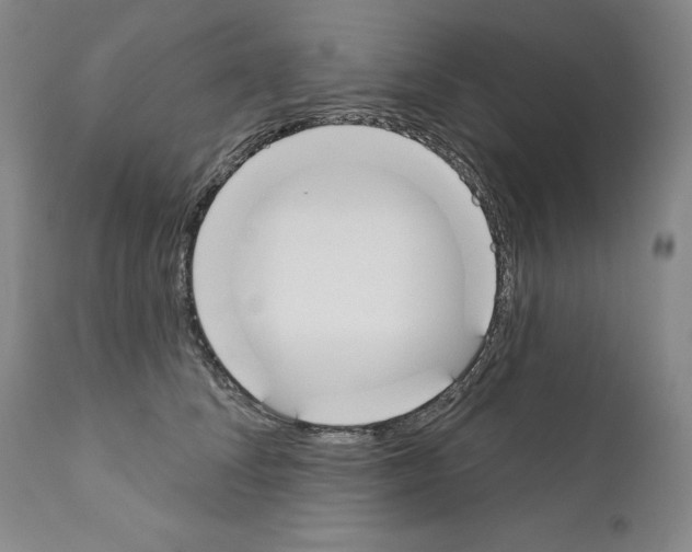 X0000110900708200907301607